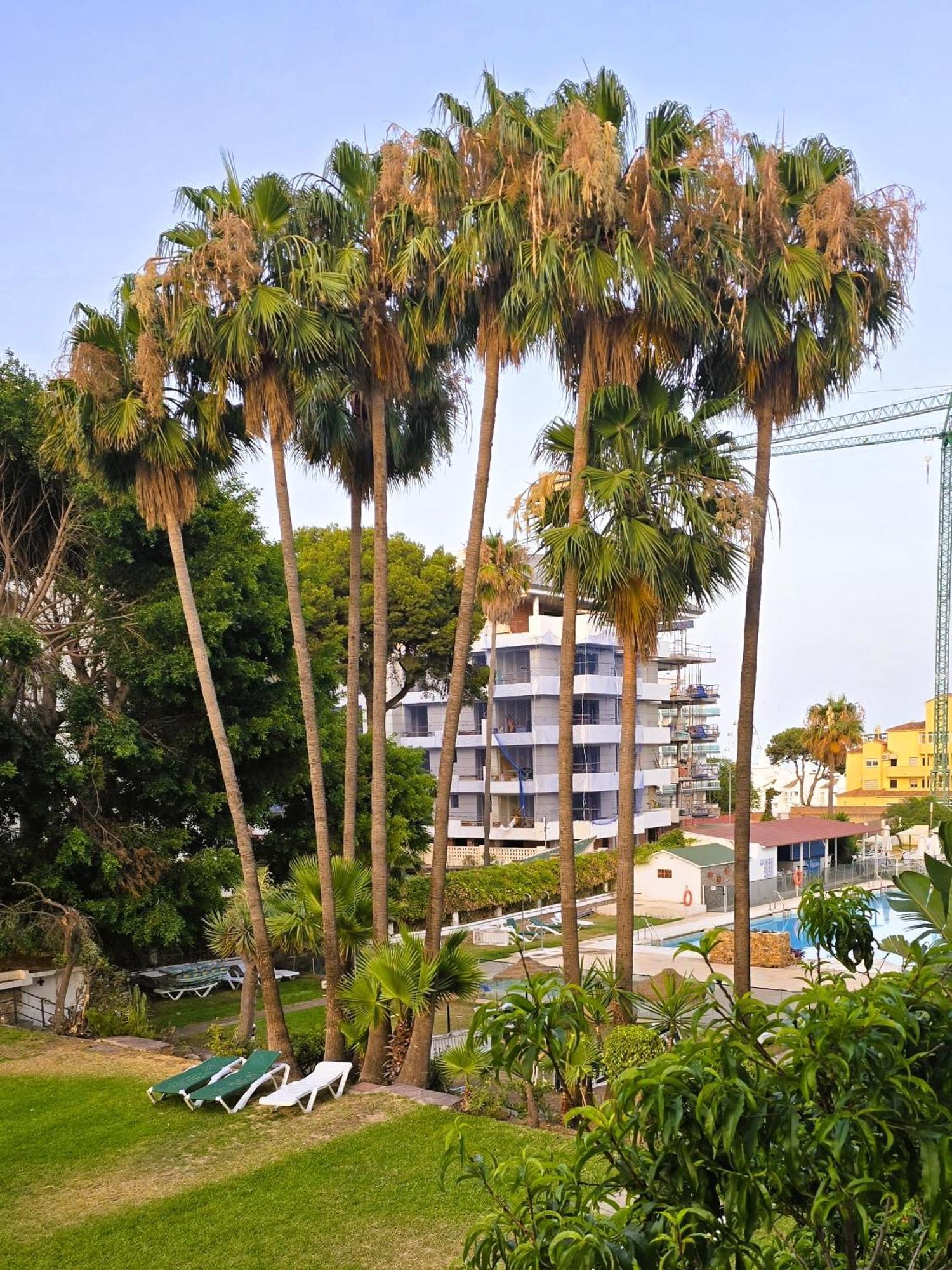 Estudio Alay Pepita En Puerto Marina Lejlighed